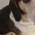 Christa Drumwright's profile image