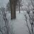 Tracey Nicholas Buhinicek's profile image