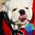 Joel Turk's profile image