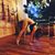 LaurieJean Weldon's profile image