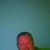 Bart Reisdorf's profile image