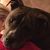 Heidi Henard Wendl's profile image