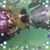 Julie Caughell-Rush's profile image
