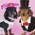 Scott Christensen's profile image