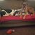 Susan Whitfield Patterson's profile image