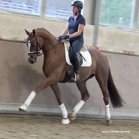 Irene Hoeflich-Wiederhold's profile image