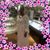 Fannie Griffin's profile image