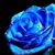 Anna Hank's profile image