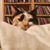 Ed Jessup's profile image