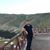Hadi Jameel Al-shmari's profile image