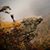 Shanda Beasley's profile image