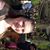 Kristianna Beresford's profile image