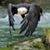 Mike Young's profile image