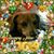 Randy Leveille's profile image