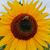 Heath Ashli LeFebvre's profile image