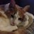 Michele Vaccaro's profile image