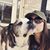 Cristin Battles's profile image