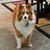 Linda Peak Caldwell's profile image