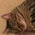 Kathy Barber's profile image