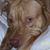 Rita Brooks Bryant's profile image
