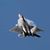 Tony Rochette's profile image
