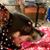 Mary Heiden's profile image