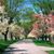 Mary Beth Peterson's profile image