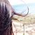 Cassy Chen's profile image