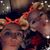 Jessica Hupp's profile image