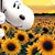 Vickie Blosser's profile image