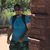 Yar Danishwar's profile image