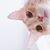 Amanda Yeh's profile image