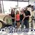 Roxanne Beauman's profile image