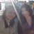 Rocio Martinez's profile image