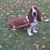 Brenda Shepherd's profile image