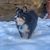 Lynda Firth's profile image