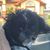 Shannon Banks Shipman's profile image