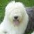 Staci Aaron Kelleher's profile image