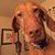 Tim McCoy's profile image