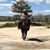 Carl Savely's profile image