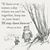 Diana Wilson's profile image