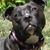 Diane Hernek's profile image