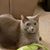 Melissa Hubbard's profile image
