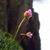 Hannele Gauthier's profile image