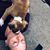 Stephanie Buchinger's profile image