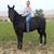 Ashley Fortenberry's profile image