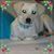Lynn Reeves's profile image