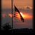 Vickie L Wilson's profile image