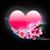 Ron C Felker's profile image