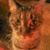 Susan Dennany's profile image